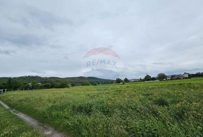 Teren 1,495mp Dobreni / Strada Parau Almas - 9