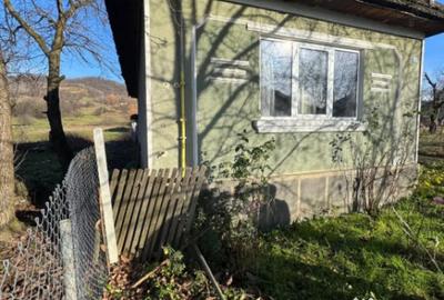 Casă cu 1 camere cu Teren 420 Mp în Tăuții de Sus - 3