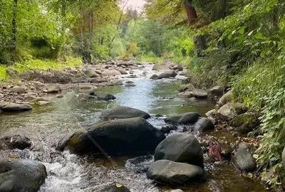 Casa / Vila cu 5 camere de vanzare - 4