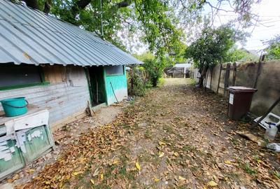 Casă cu 4 camere cu Teren 2020 Mp în Surani - 5