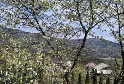 Casa de inchiriat Breaza de Sus in regim hotelier - 9