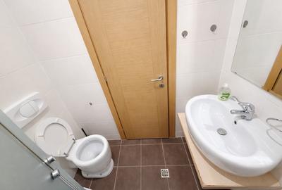 Apartament cu 3 camere decomandat, mobilat în Tineretului - 7