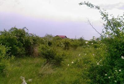 Teren 15000 mp Vernesti, Buzau cu PUZ - 2