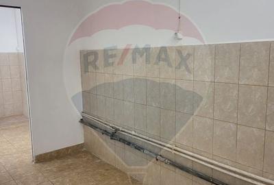 Spațiu industrial, de 70 mp, în Astra - 8