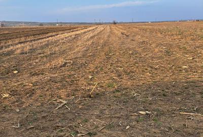 Spațiu comercial, în Marginea - 5