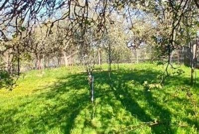 Casă cu 5 camere cu Teren 800 Mp în Mănăstireni - 12