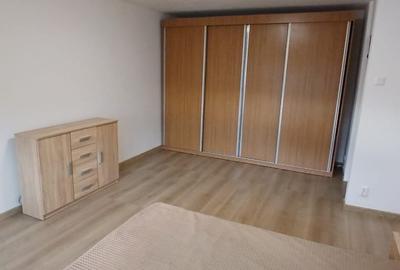 INCHIRIERE GARSONIERA SEBASTIAN - RAZOARE - 4