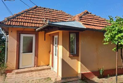 Casă cu 5 camere cu Teren 7900 Mp în Pleșcoi - 2