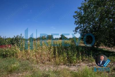 Casa de vanzare, Sat. Galbeni, Com. Filipe?ti, Bacau. - 11