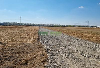 Teren industrial   Popesti, 10.800 m2, utilitati gaz si curent - 3