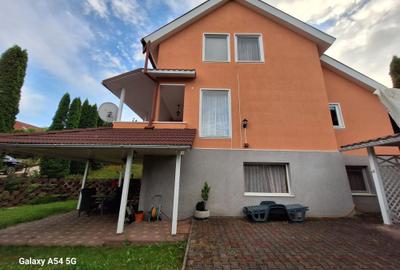 De vanzare casa superba in Livezeni, Orizont, 920 mp curte aranjata, asfalt - 10