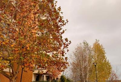 De inchiriat: Studio PIPERA Adora | Scoala Americana | Vasile Alecsandri - 13