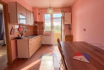Apartament cu  2 dormitoare de inchiriat Zona Cocorilor,Arad - 12