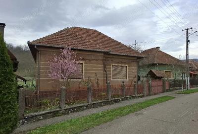 Casă cu 3 camere în Pleșcuța - 3