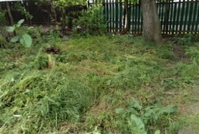 Casă cu 2 camere cu Teren 871 Mp în Moara Vlăsiei
