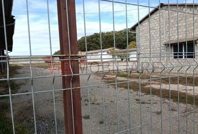 Ferma Agricolă 1.350 Hectare – Grad de Comasare 96–97%, Chișineu Criș, Ju - 9