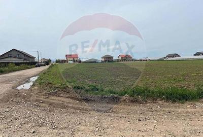 Teren de 17000 mp, în Matca - 1