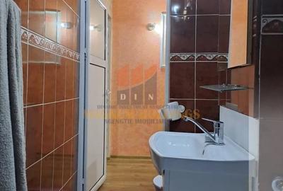 Apartament cu 2 camere semidecomandat, mobilat în Banat - 7