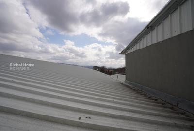 Spațiu industrial, de 6,474 mp, în Măcin - 16