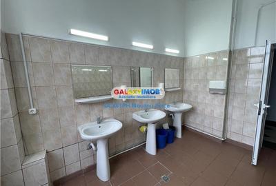 Inchiriere spatiu de birou, cladire eleganta, Ploiesti, Bulevard - 6