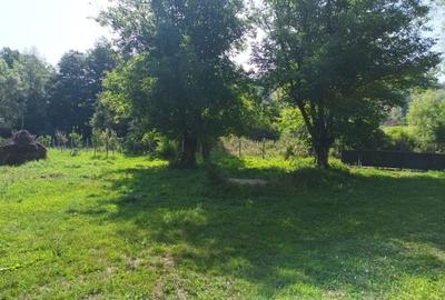 Casă cu 2 camere în Densuș - 7