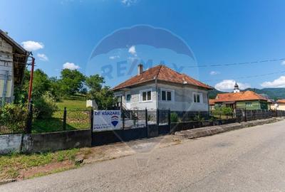Casa de vanzare Certeju de Sus,jud Hunedoara - 17