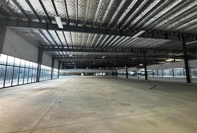 Inchiriere depozit/hala/spatiu industrial/showroom Afumati - DN2 - Dorally, Ilfo - 5