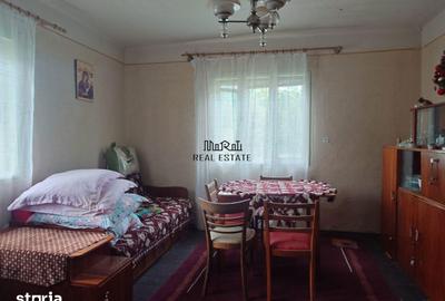 Casă cu 4 camere cu Teren 2651 Mp în Baia de Criș - 15