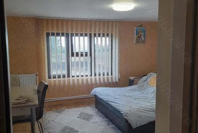 Casa de vanzare in Satmarel Satu Mare 100m patrati - 1