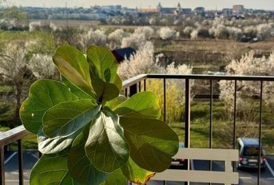 Apartament renovat, la prima închiriere - 4