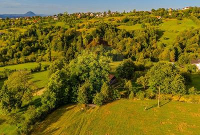 Teren intravilan cu PRIVELISTE UNICA |BRAN, BV| 3,000mp | COMISION 0 | - 20