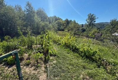 Casă cu 3 camere cu Teren 1027 Mp în Central - 3