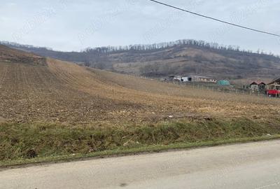 Teren de 5800 mp, în Șaroș pe Târnave - 1