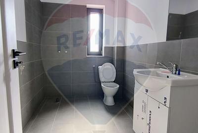 Hale noi de inchiriat Domnesti - putere instalata pana la 600kva - 15