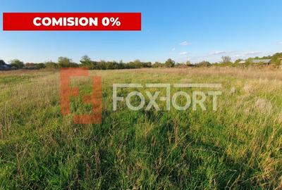 Comision 0% Teren intravilan de 3346 mp cu 2 fronturi - Jebel - 2