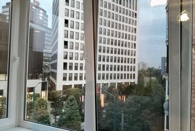 Apartament cu 2 camere semidecomandat, mobilat în Aradului - 11