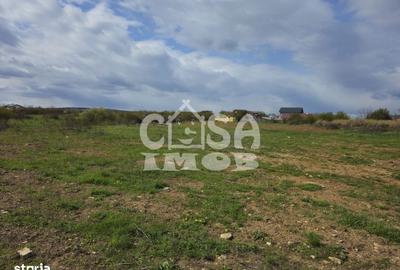 Teren de 3100 mp, în Priseaca - 4