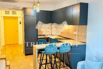Apartament cu 2 camere decomandat, mobilat în Herăstrău - 6