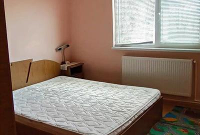 Casă cu 4 camere în Mărunțișu - 7