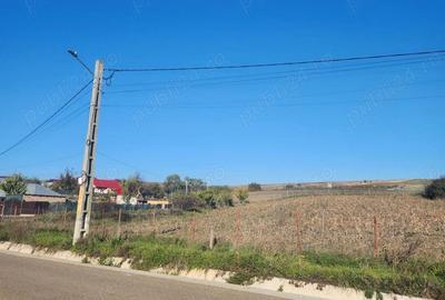 Teren de 2618 mp, în Portari - 2