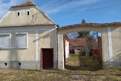 Casă cu 4 camere în Apold - 3