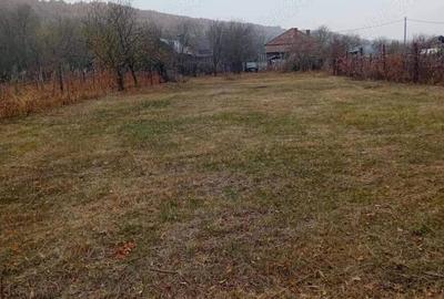 Casa de vanzare in com. Stoina, sat Paisani, jud, Gorj Casa de vanzare in com. Stoina, sat Paisani, jud, Gorj - 4