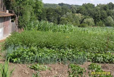 Casa cu teren in Razboienii de Jos, Neamt Casa cu teren in Razboienii de Jos, Neamt - 7