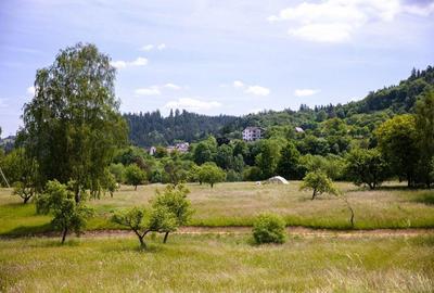 Teren intravilan - 1.050 mp în Bran cu utilitati - priveliște Bucegi - 4