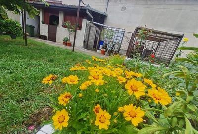 Poveste saseasca la umbra vitei de vie, cu crama si gradina cu flori, Central Co - 14