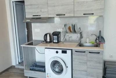 Garsoniera de inchiriat spre iesirea Zizin - 1