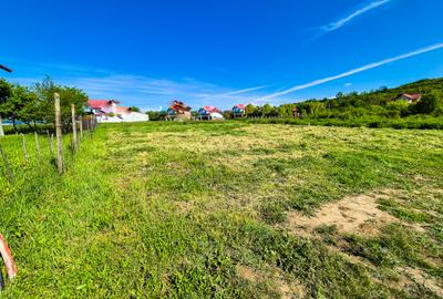 Teren intravilan Vranesti , Calinesti Arges - 1