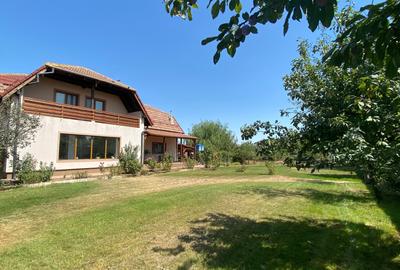De vanzare casa individuala cu teren Gruiu , Calarasi ,Budesti - 15