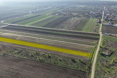 Teren 10.000 mp, parcelabil, ideal ansamblu case P+1 | Gulia - Dambovita - 5