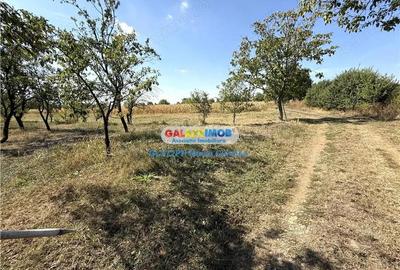 Vanzare teren intravilan Baicoi Central Vanzare teren intravilan Baicoi Central - 7